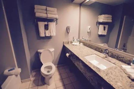 Holiday Inn Express Cleveland Downtown, an IHG - 8