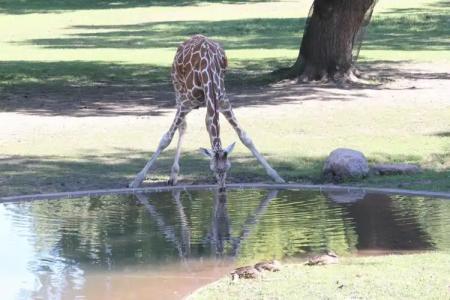 Hampton Inn Sioux Falls - 19