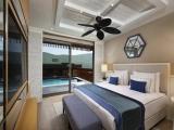 Deluxe Swim-Up Double room