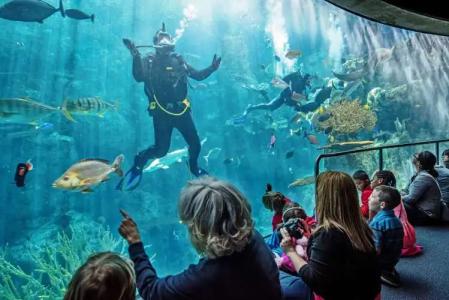 Hyatt Centric the Pike Long Beach - 24