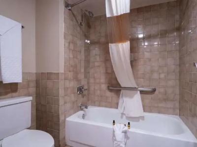 Best Western Plus Saddleback Inn and Conference Center - 42