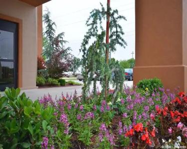 The Douillet by Demeures - 13