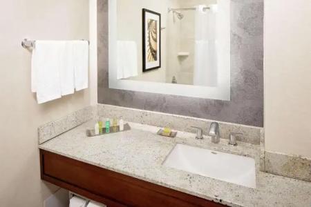 DoubleTree by Hilton South Bend - 10