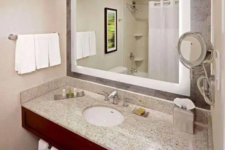 DoubleTree by Hilton South Bend - 53