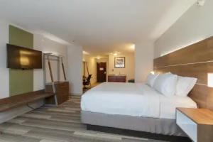 Holiday Inn Express & Suites - South Bend - Notre Dame Univ., South Bend