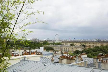 Le Narcisse Blanc - 94