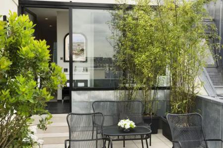 Le Narcisse Blanc - 18