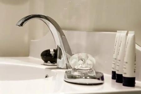 Le Narcisse Blanc - 68