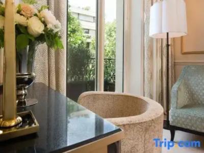 Le Narcisse Blanc - 42