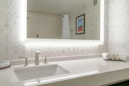 Embassy Suites by Hilton Alexandria Old Town - 9