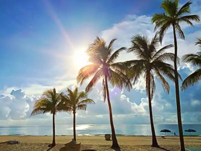 Hollywood Beach Marriott - 48