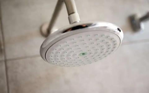 116, A Coast Bellevue - 45