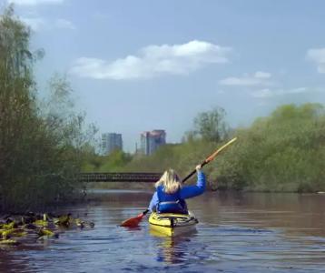 The Westin Bellevue - 18