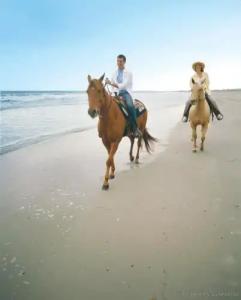 The Ritz-Carlton, Amelia Island - 25