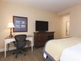 Deluxe Double room with garden view