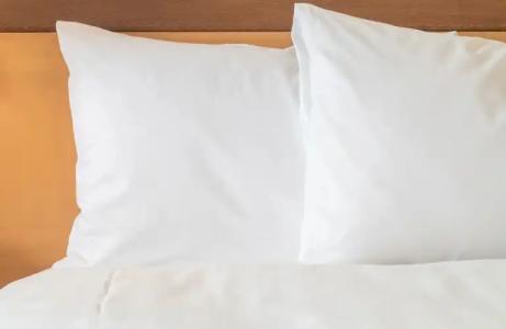 Sonesta Atlanta Airport South - 29