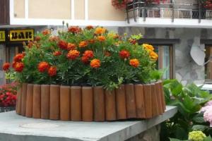 Albergo Panice, Limone Piemonte