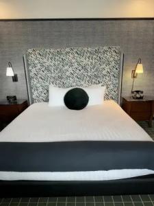 The Adler a Hollywood - 50