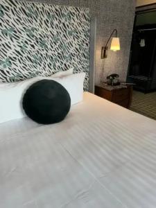 The Adler a Hollywood - 51