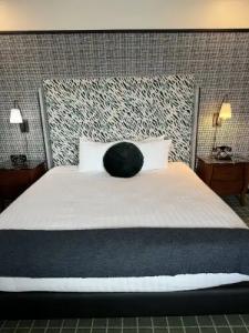 The Adler a Hollywood - 85