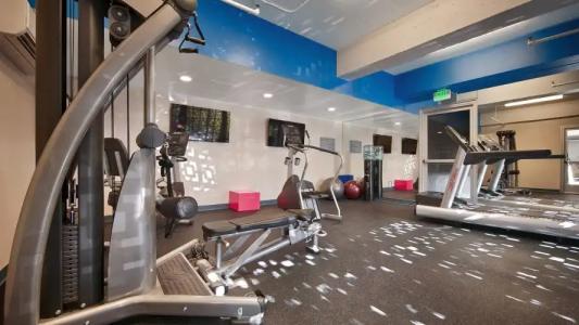 The Adler a Hollywood - 22