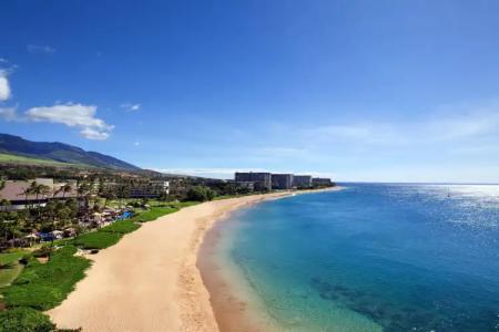 Sheraton Maui Resort & Spa - 49