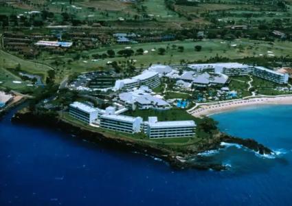 Sheraton Maui Resort & Spa - 30