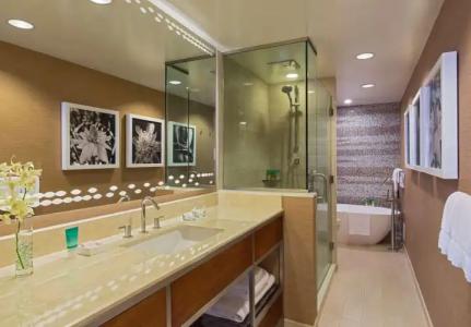 Hyatt Regency Maui Resort & Spa - 8