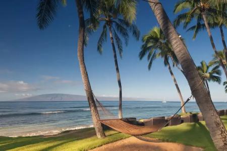 Hyatt Regency Maui Resort & Spa - 23