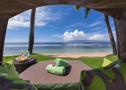 Hyatt Regency Maui Resort & Spa - 22