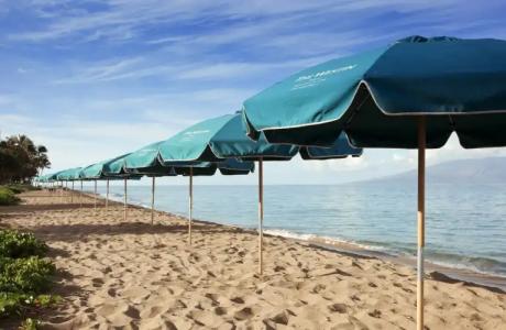 The Westin Maui Resort & Spa, Ka'anapali - 32