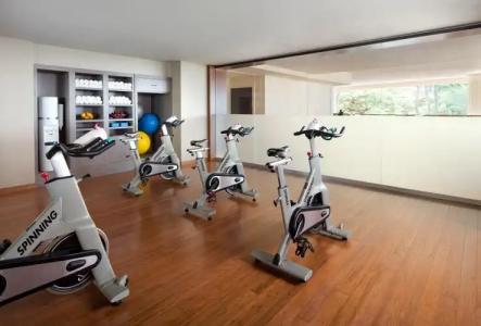 The Westin Maui Resort & Spa, Ka'anapali - 29