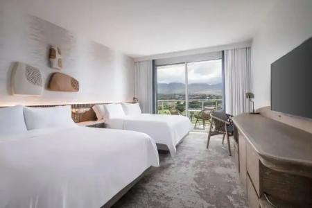 The Westin Maui Resort & Spa, Ka'anapali - 73