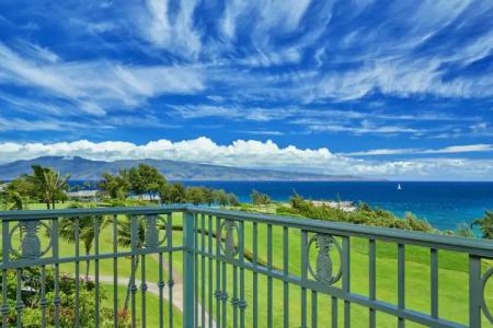 The Ritz-Carlton Maui, Kapalua - 93