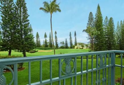 The Ritz-Carlton Maui, Kapalua - 56