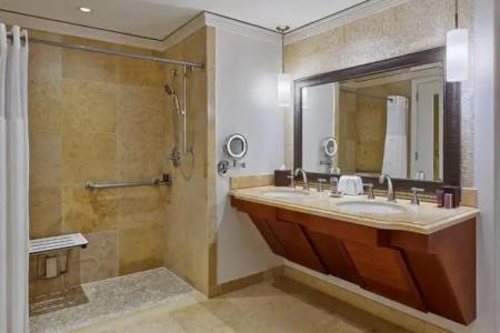 The Ritz-Carlton Maui, Kapalua - 41