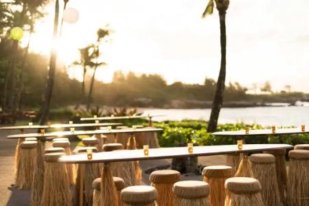 The Ritz-Carlton Maui, Kapalua - 17