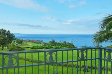The Ritz-Carlton Maui, Kapalua - 82