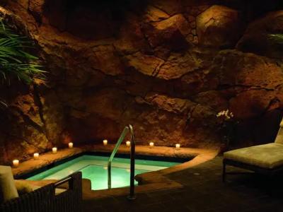 The Ritz-Carlton Maui, Kapalua - 20