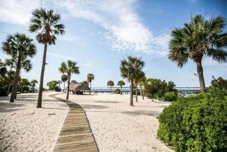 Harborside at Charleston Harbor Resort and Marina - 15