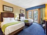 Standard Double room with pool view
