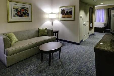 Hilton Garden Inn Overland Park - 4