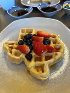 Dallas/Plano Marriott at Legacy Town Center - 14