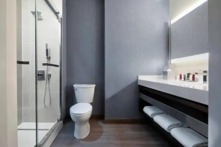 Dallas/Plano Marriott at Legacy Town Center - 8