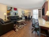 1 Bedroom Suite