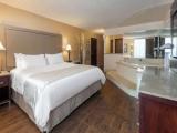 1 Bedroom Deluxe Double Suite