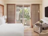 1 Bedroom Oasis Plunge Pool Suite