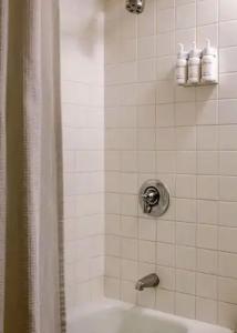 Sonder The Monarch - 31