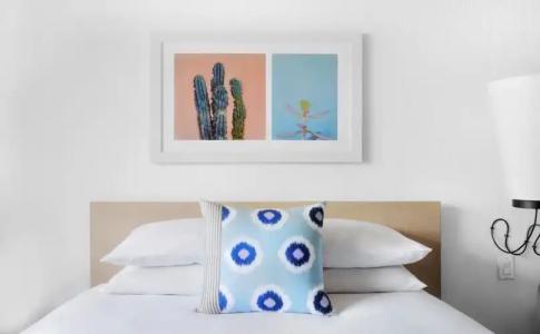 Sonder The Monarch - 4