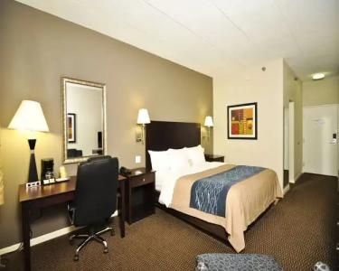 Comfort Inn Sandusky - 33